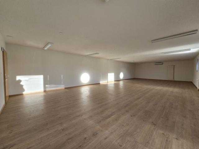 Atelier mieten in Crissier, Waadt