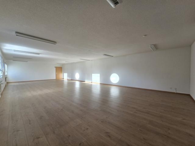 Atelier mieten in Crissier, Waadt