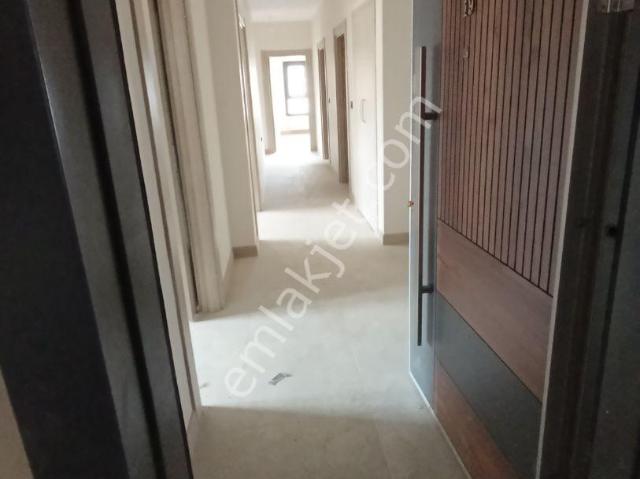 Bingöl Merkez, Bingöl içerisinde kiralık mülk