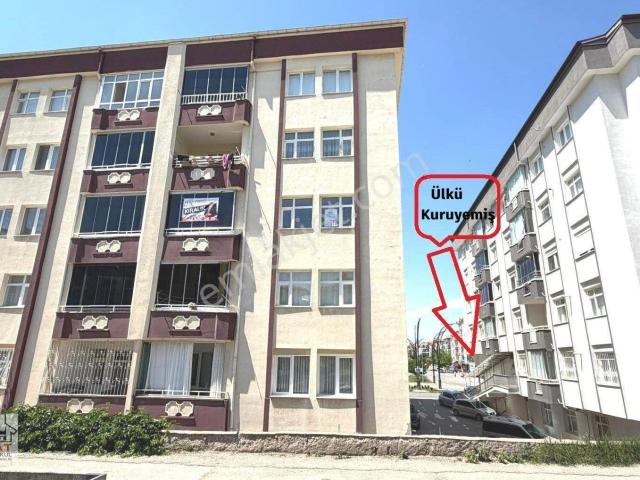 Şeyhhamit Mahallesi, Aksaray Merkez içerisinde kiralık mülk