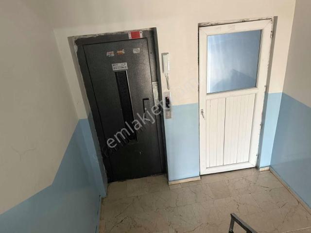 Kars Merkez, Kars içerisinde kiralık mülk