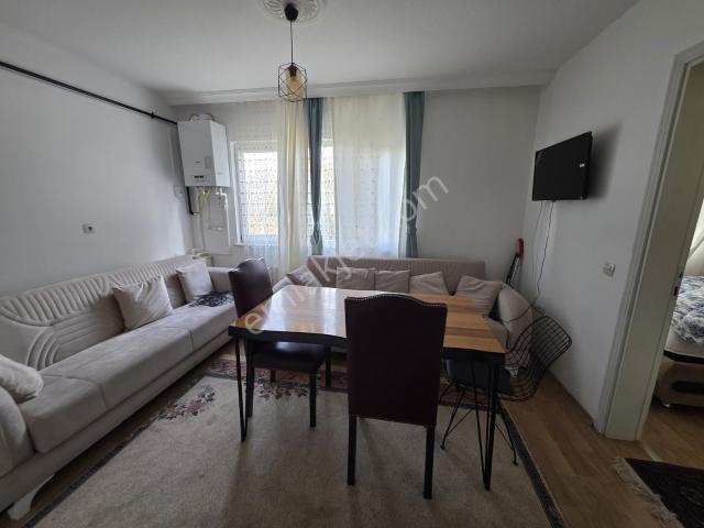 Çorum Merkez, Çorum içerisinde kiralık mülk