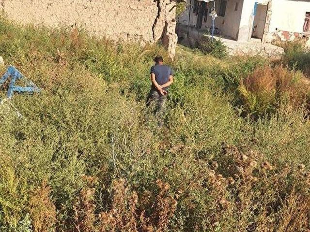Kemalpaşa, Alpu içerisinde satılık Arsa