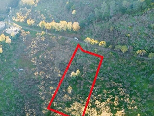 Boztepe, Eynesil içerisinde satılık mülk