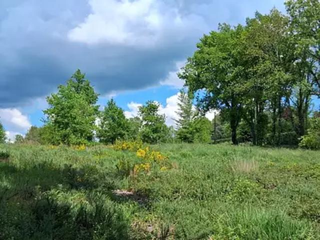 Terrain vente à Périgueux, Maurens
