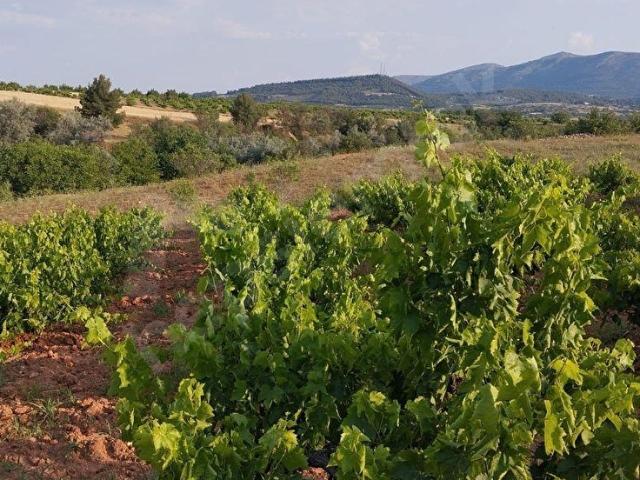 Çal, Denizli içerisinde satılık Arsa