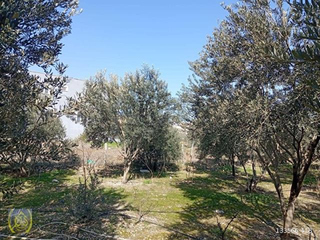Sarayköy, Denizli içerisinde satılık mülk