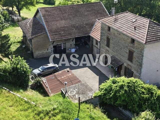 Château vente à Vienne, Eyzin-pinet