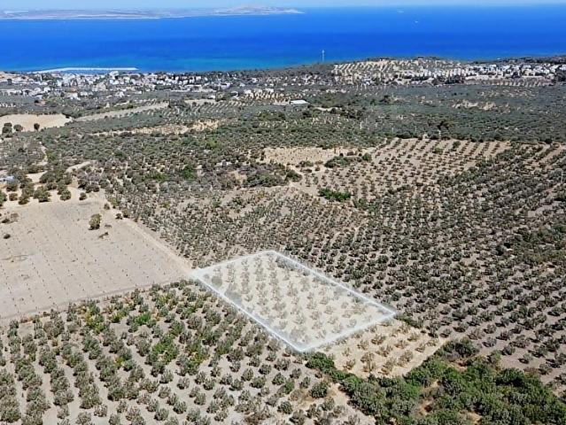 Dalyan, Ezine içerisinde satılık mülk