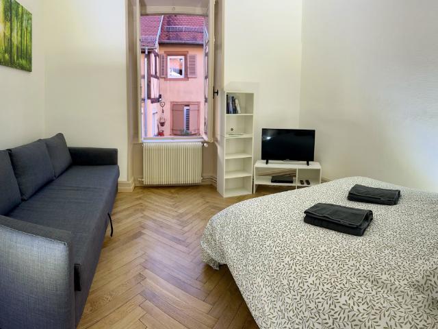Appartement location à Colmar-Ribeauvillé, Colmar