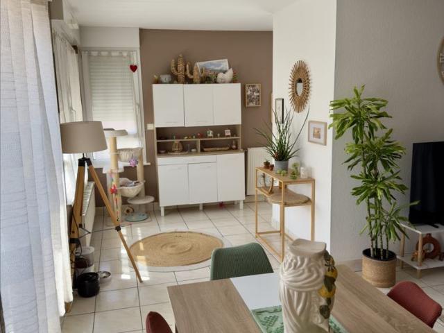 Appartement location à Colmar-Ribeauvillé, Colmar