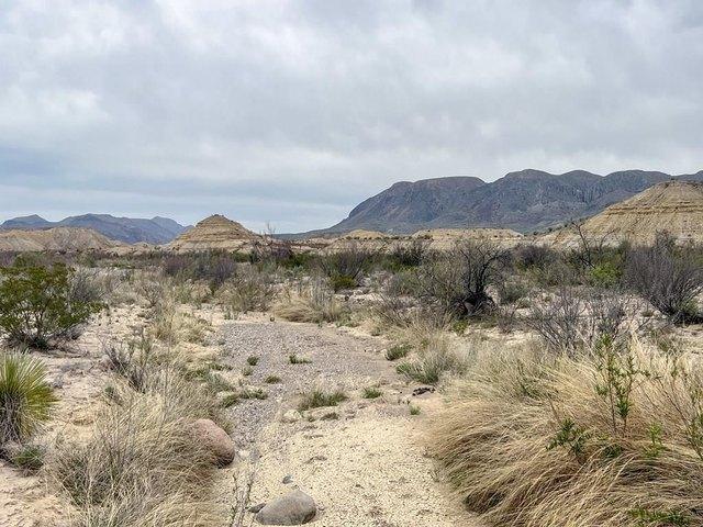 Farm for sale in Brewster, Texas