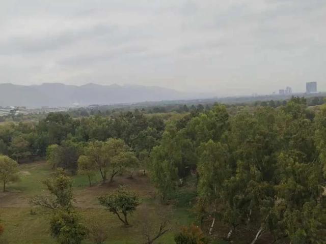 Apartment for rent in Islamabad