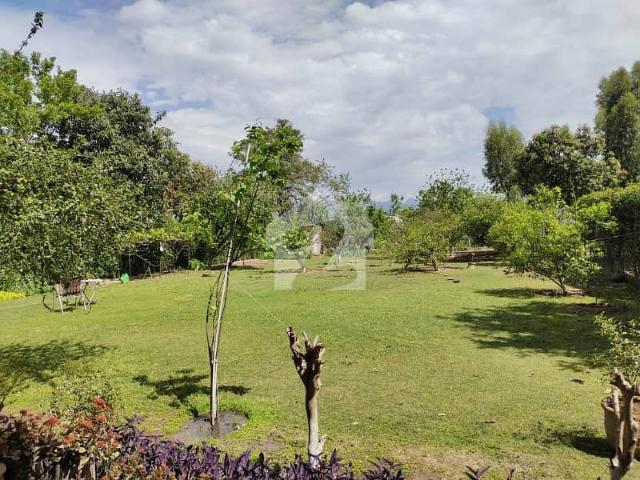 Property for rent in Islamabad