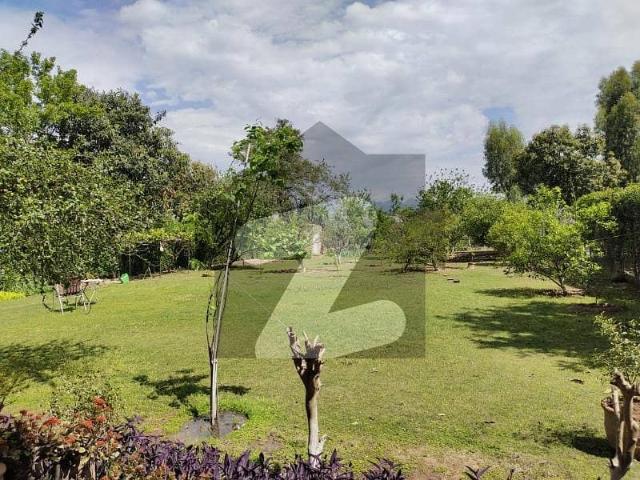 Property for rent in Islamabad