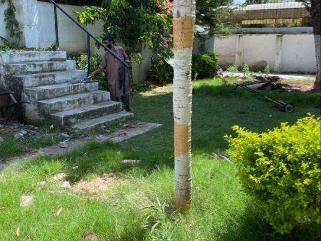 House for rent in Islamabad