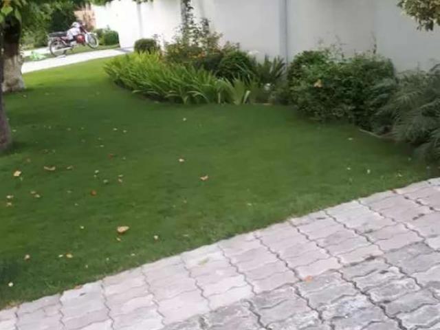 House for rent in Islamabad