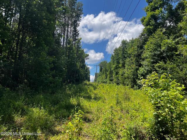 Land for sale in Monticello, Mississippi