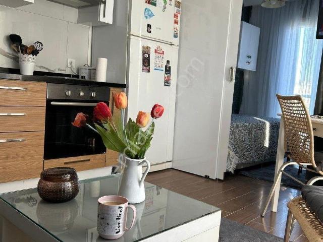 Aşıkveysel Mahallesi, Ataşehir içerisinde kiralık mülk