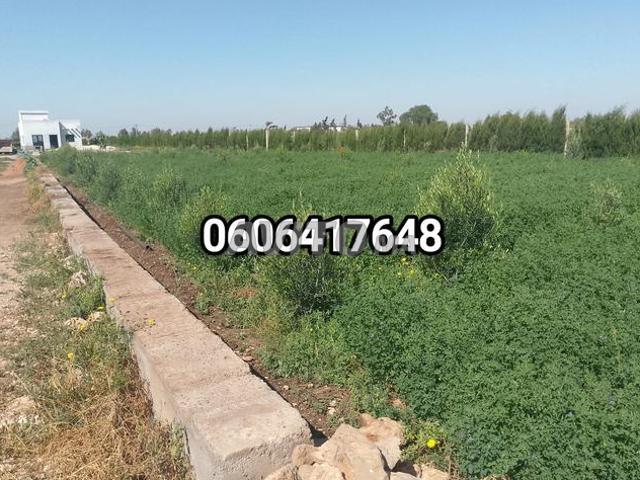 Propriété vente à Berrechid, Gharb-Chrarda-Beni Hssen