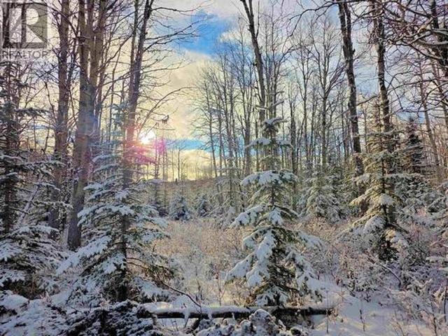 Land for sale in Southbank, British Columbia