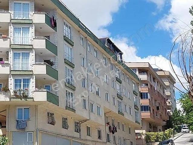 Maltepe, İstanbul içerisinde kiralık mülk