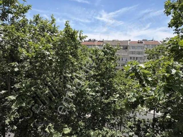 İstanbul Merkez, İstanbul içerisinde kiralık mülk