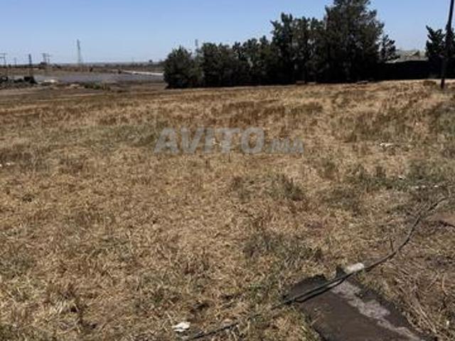 Propriété vente à El Ma, Gharb-Chrarda-Beni Hssen