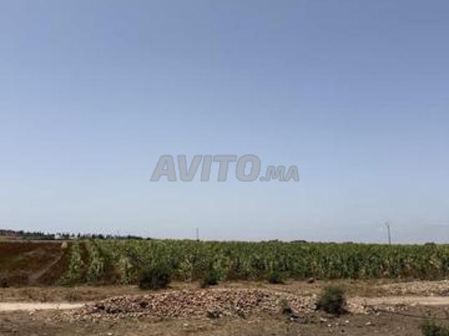 Propriété vente à El Ma, Gharb-Chrarda-Beni Hssen