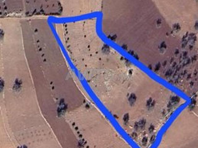 Propriété vente à Azilal