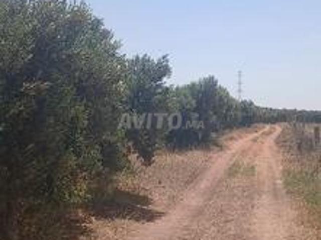 Propriété vente à Berrechid, Gharb-Chrarda-Beni Hssen