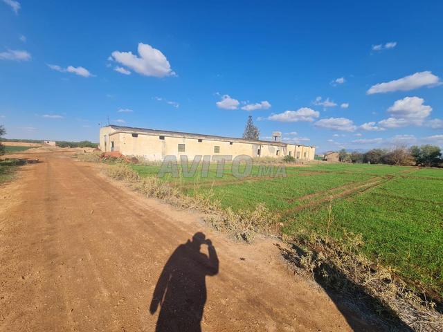 Propriété vente à Mellal