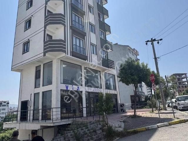 Çayirova, Kocaeli içerisinde satılık mülk