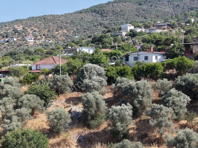 Milas, Muğla içerisinde satılık Villa
