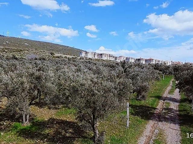 Kemalpaşa, İzmir içerisinde satılık mülk
