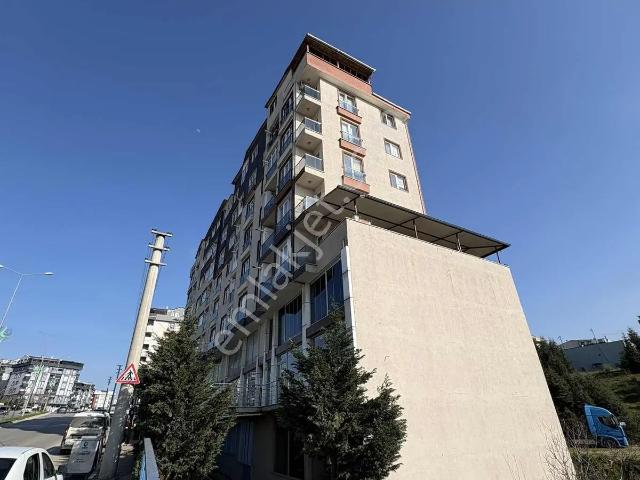 Çayirova, Kocaeli içerisinde kiralık mülk