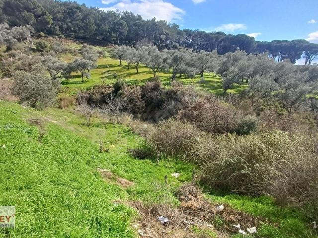 Torbali, İzmir içerisinde satılık Arsa