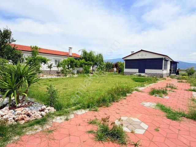 Nazilli, Aydin içerisinde satılık mülk