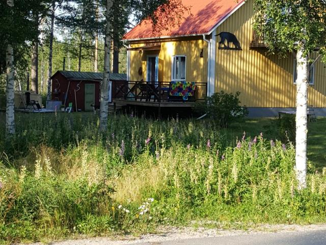 Villa till salu i Jämtland
