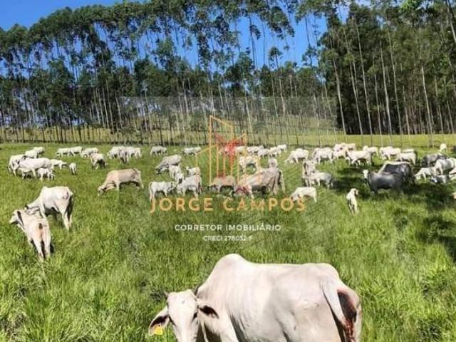 Sítio e chácara venda em Região Imediata de Guaratinguetá, Região Metropolitana do Vale do Paraíba e Litoral Norte