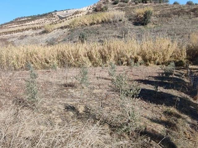 Toroslar, Mersin içerisinde satılık Arsa