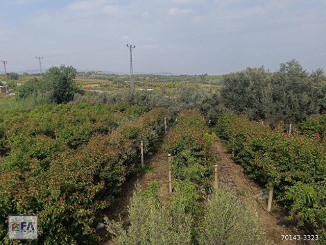 Tarsus, Mersin içerisinde satılık mülk