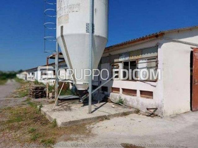 Capannone in vendita a Sona, Veneto
