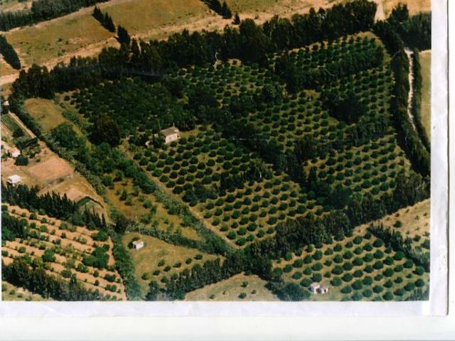 Villa Indipendente in vendita a San Vito, Sardigna/Sardegna