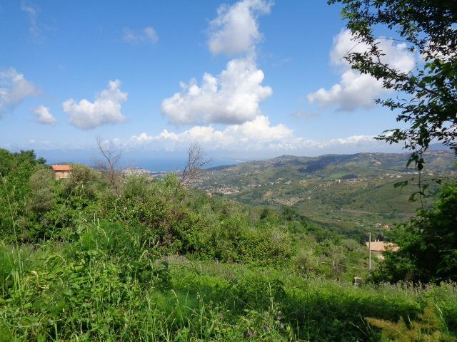 Palazzo in affitto a Laureana Cilento, Campania