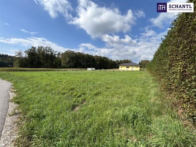 Grundstück kaufen in Kasten, Wundschuh