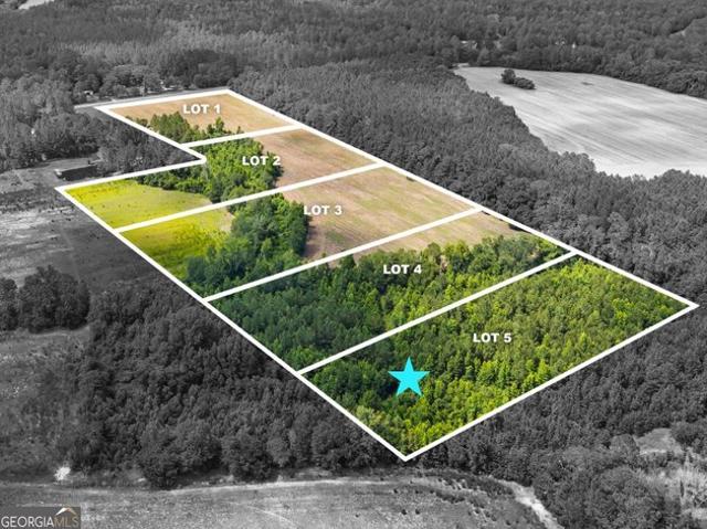 Land for sale in Pembroke, Georgia