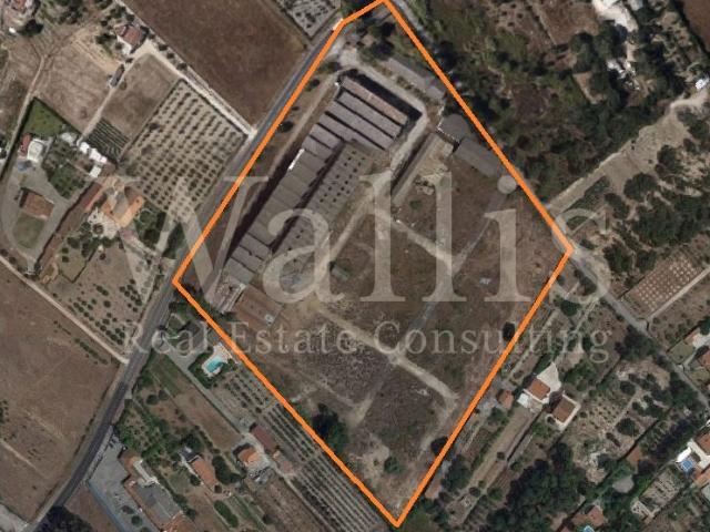 Armazém venda em Cruz do Campo, Cartaxo