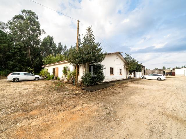 Loja venda em Vale Domingos, Águeda