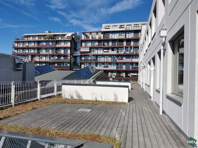 Gewerbe mieten in Liesing, Wien